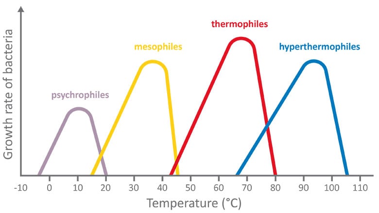 230227_Illus_LernBlog_GroweRateBacteria