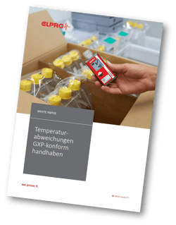 220905_Cover_WP_ExcursionAllowanceModel_Erin_DE_shadow