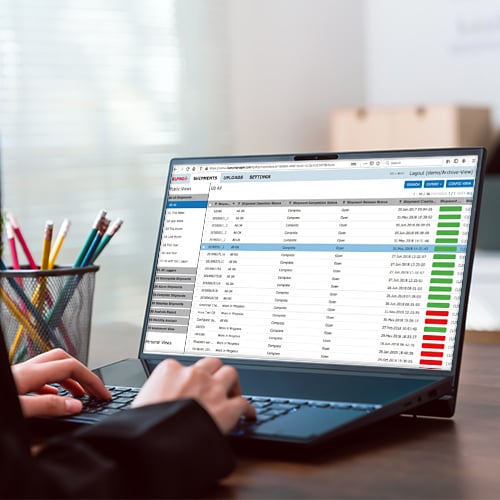 Computer screen shows stability budget on liberoMANAGER software.