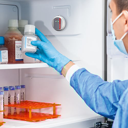 Laboratory technician takes a vaccine bottle out of the refrigerator.