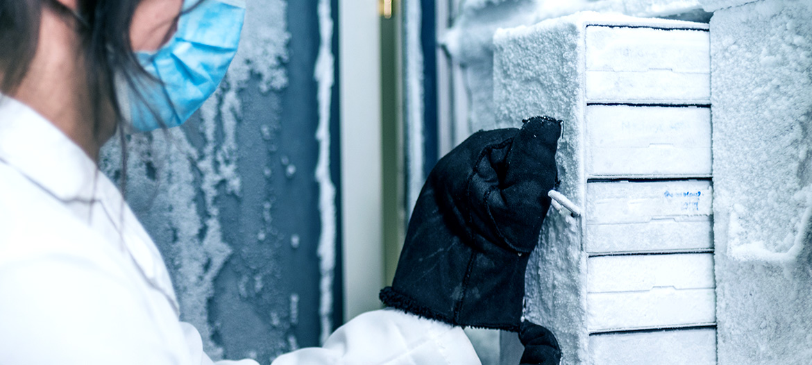 Vaccines being stored and ultra-low temperature