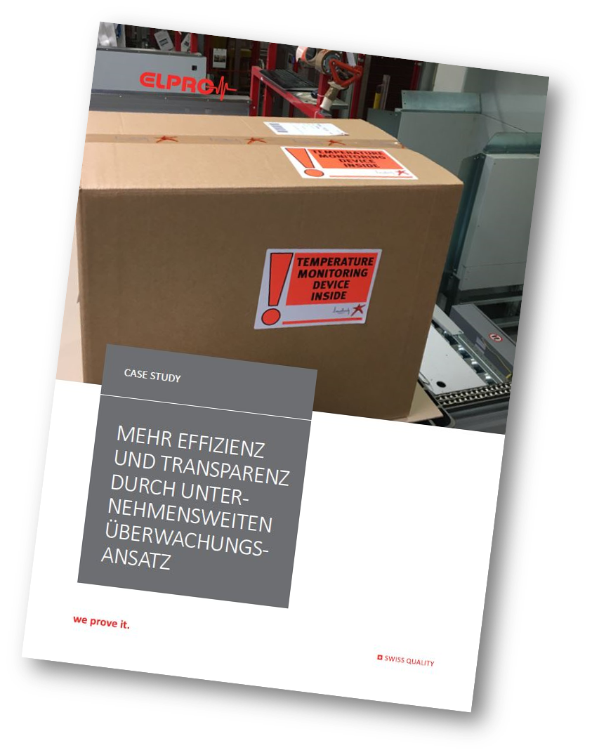 Paket steht auf Förderband im Verarbeitungszentrum.