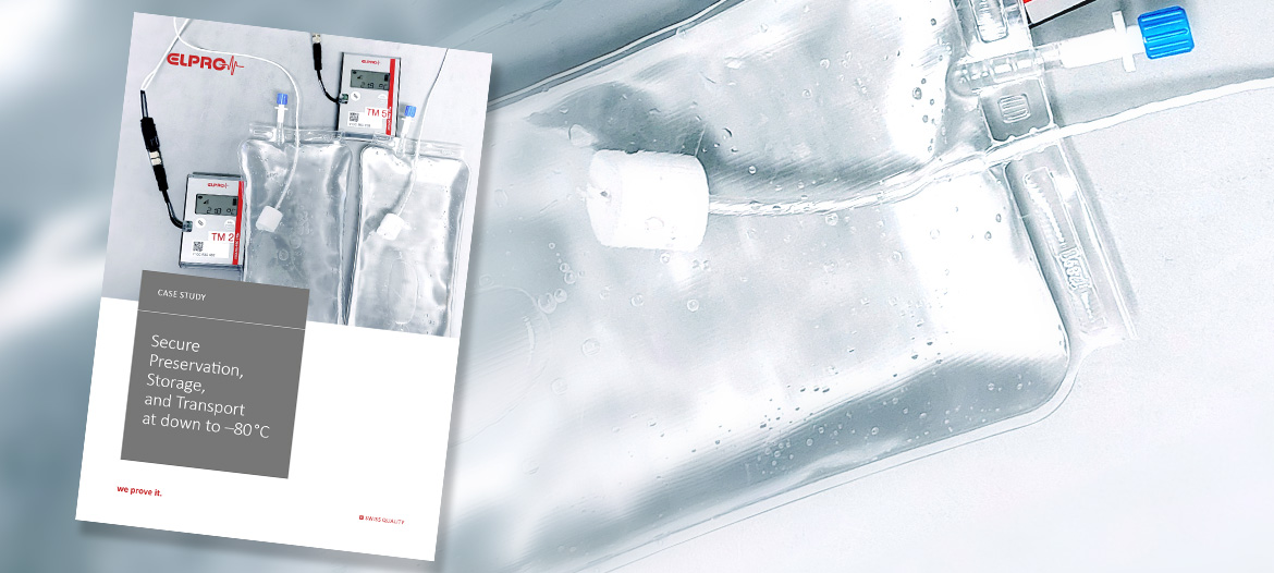 Greifswald University