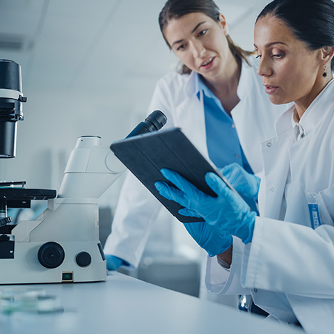 Zwei Wissenschaftler im Labor analysieren Daten auf einem Tablet.