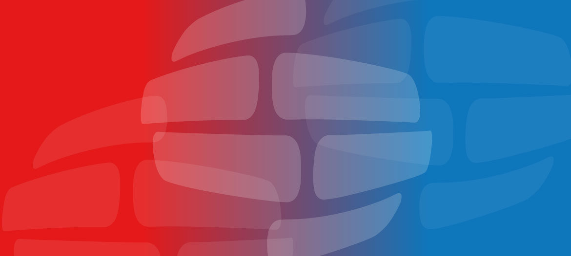 Leading Minds Partnership