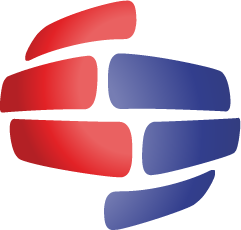 LM_Leading Minds Network Logo_cmyk_Bug